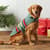 YAKIMA DOG COAT view 1 HTHR GREEN