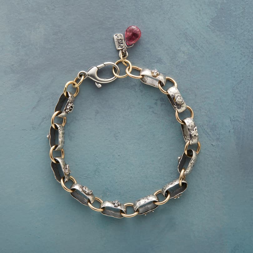 Charm Chain Bracelet View 2
