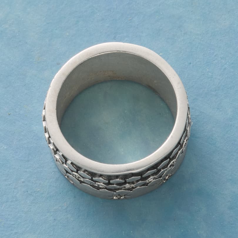 Celestial Spinner Ring View 2