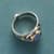 Arboreal Ring View 2