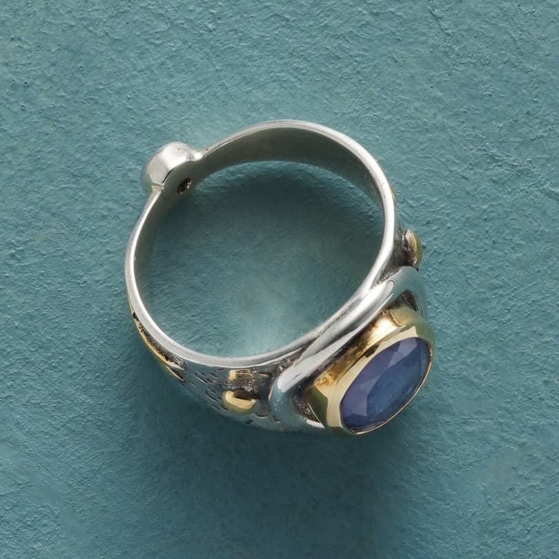 Arboreal Ring View 2