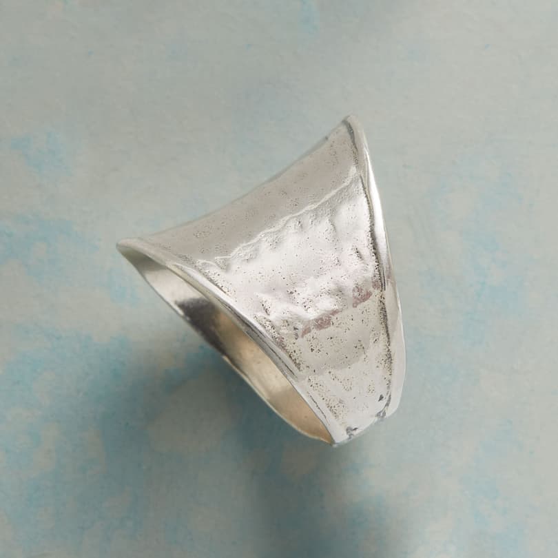 SILVER EXPANSE RING view 1