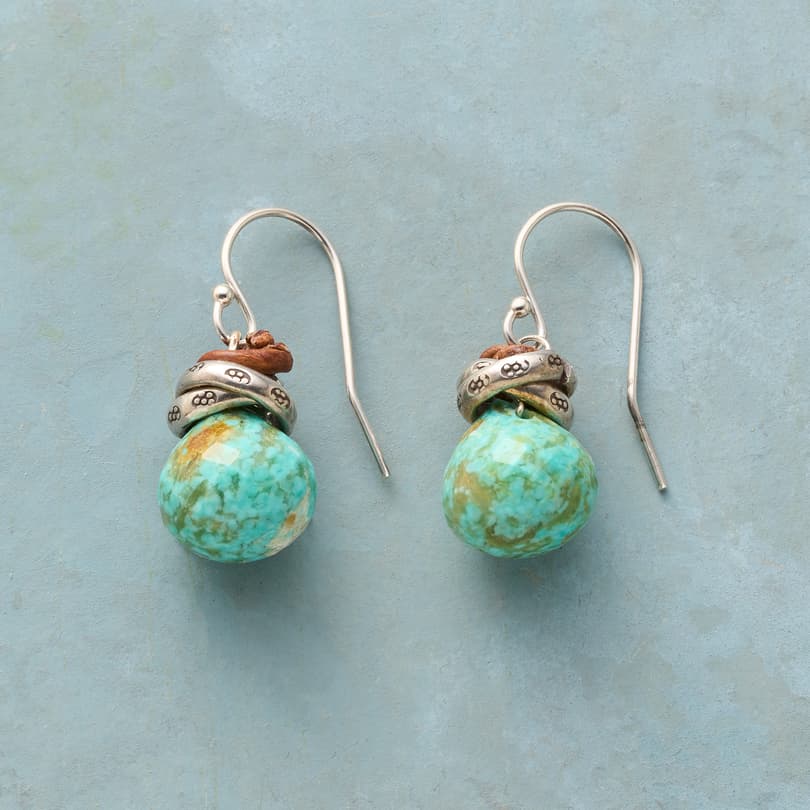 Green Planet Earrings View 1