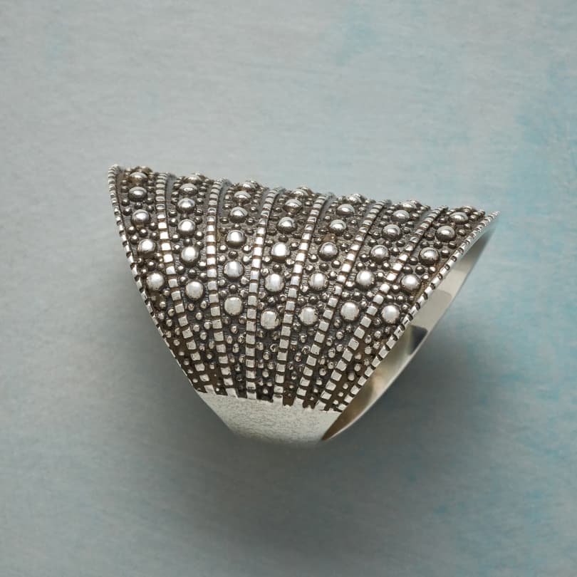 ARMADILLO RING view 1