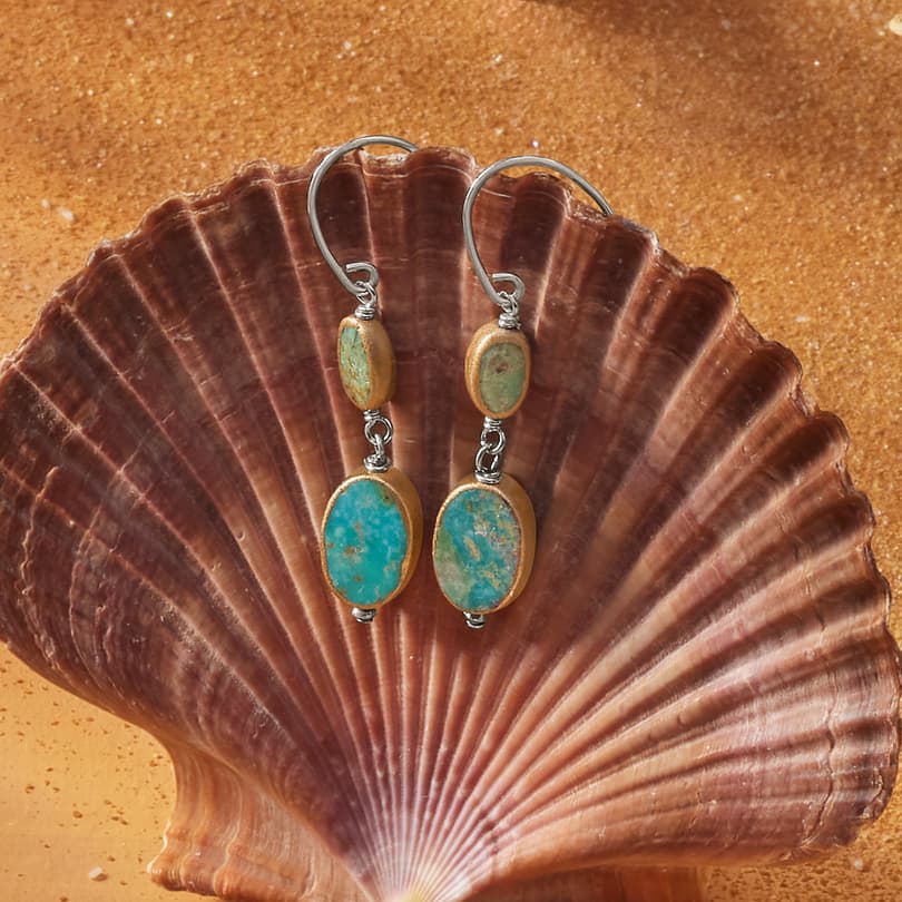 Two Tone Turquoise Earrings View 3