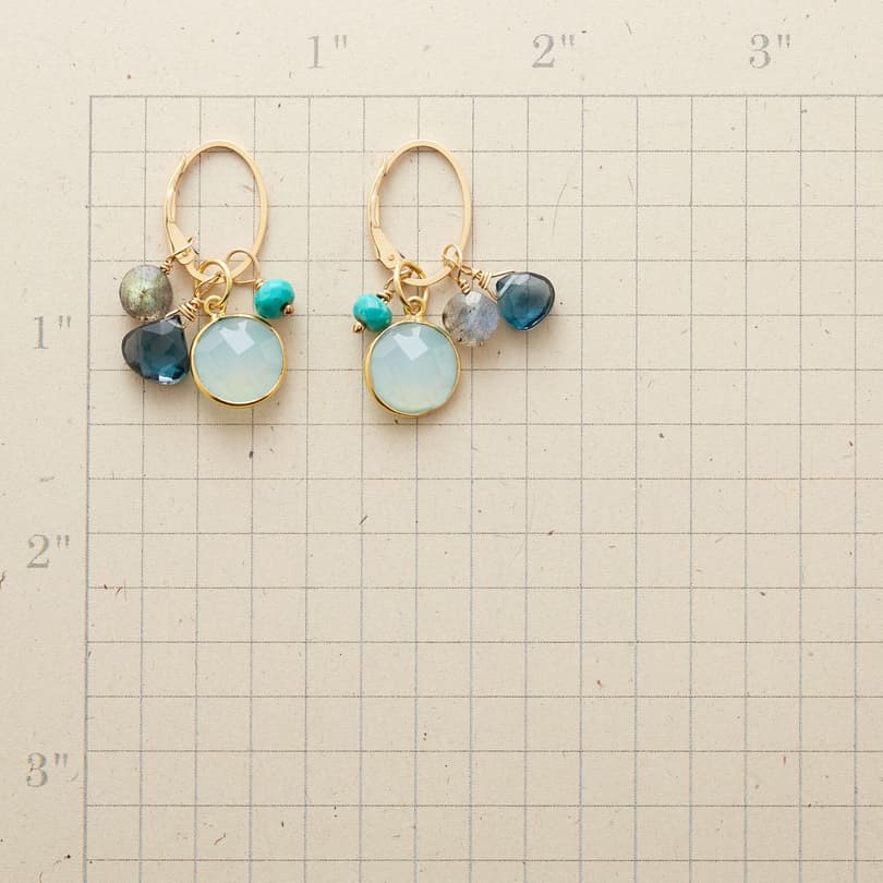 IN THE BALANCE EARRINGS view 1