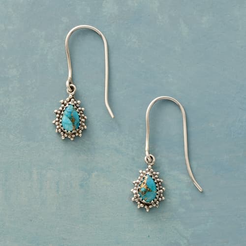 Stellar Turquoise Earrings View 1