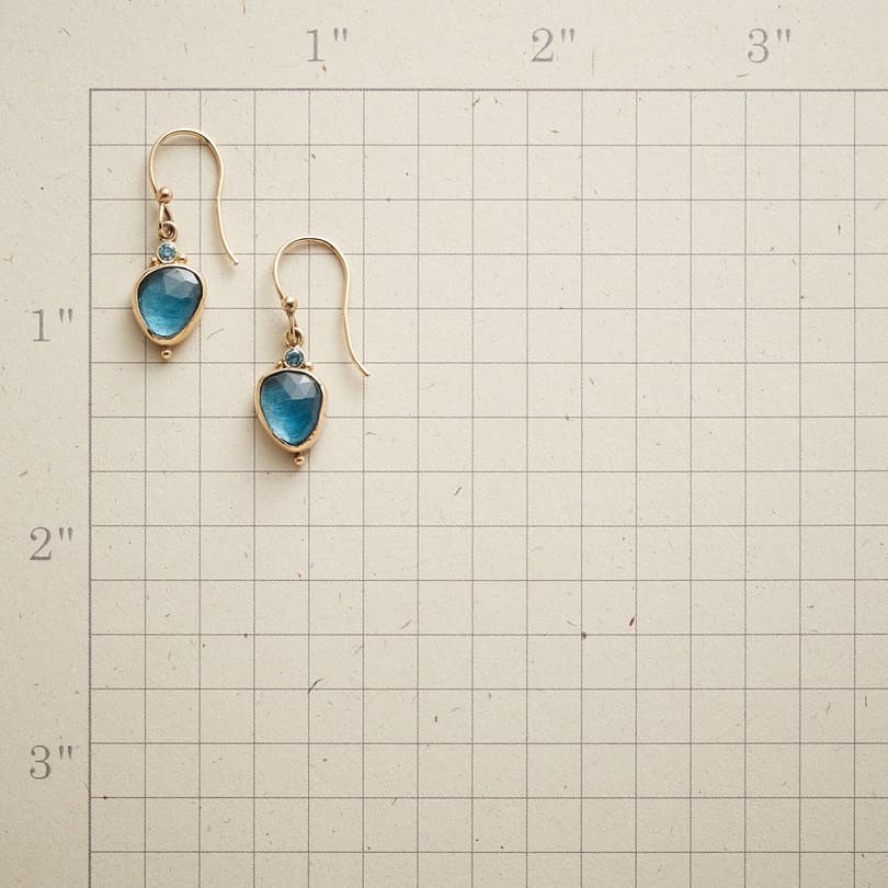 OCEAN SHORE EARRINGS view 1