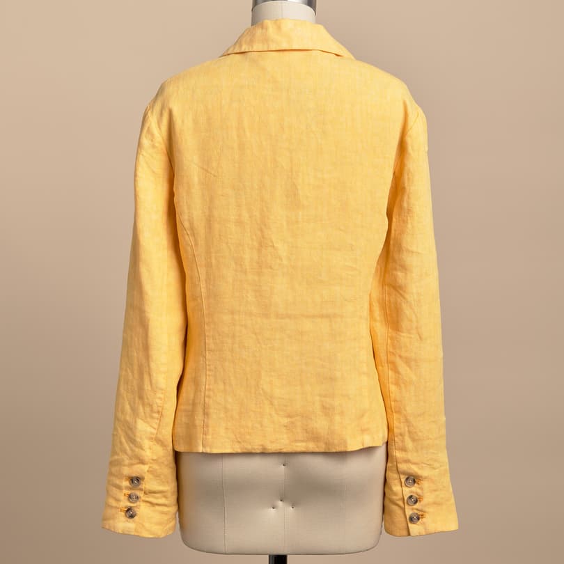 Pippa Blazer View 5
