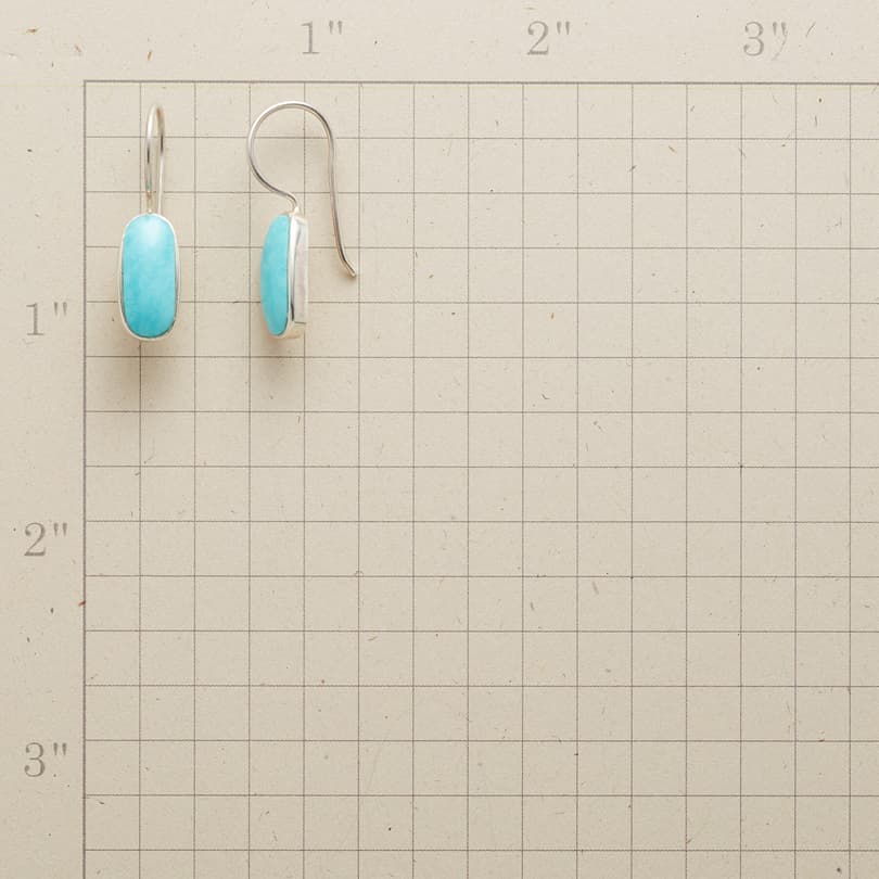 SWAYED BY TURQUOISE EARRINGS view 1