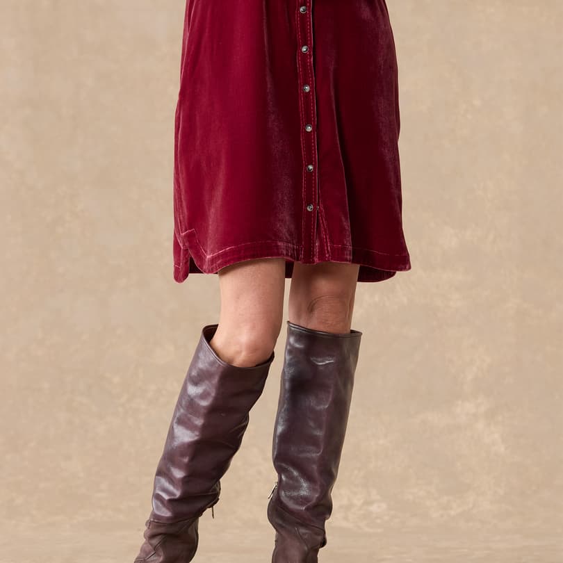 Rocio Velvet Dress, Petite View 5