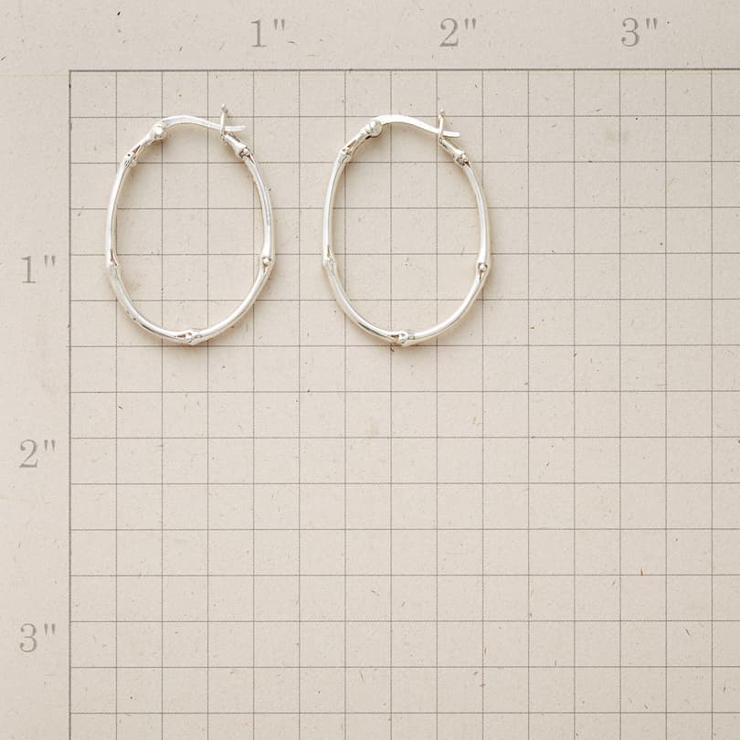 VINEYARD HOOP EARRINGS view 1