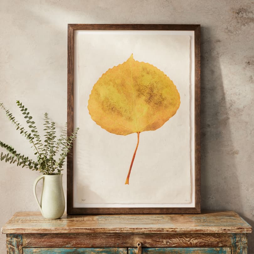 Leaf Studies Print View 9Aspen