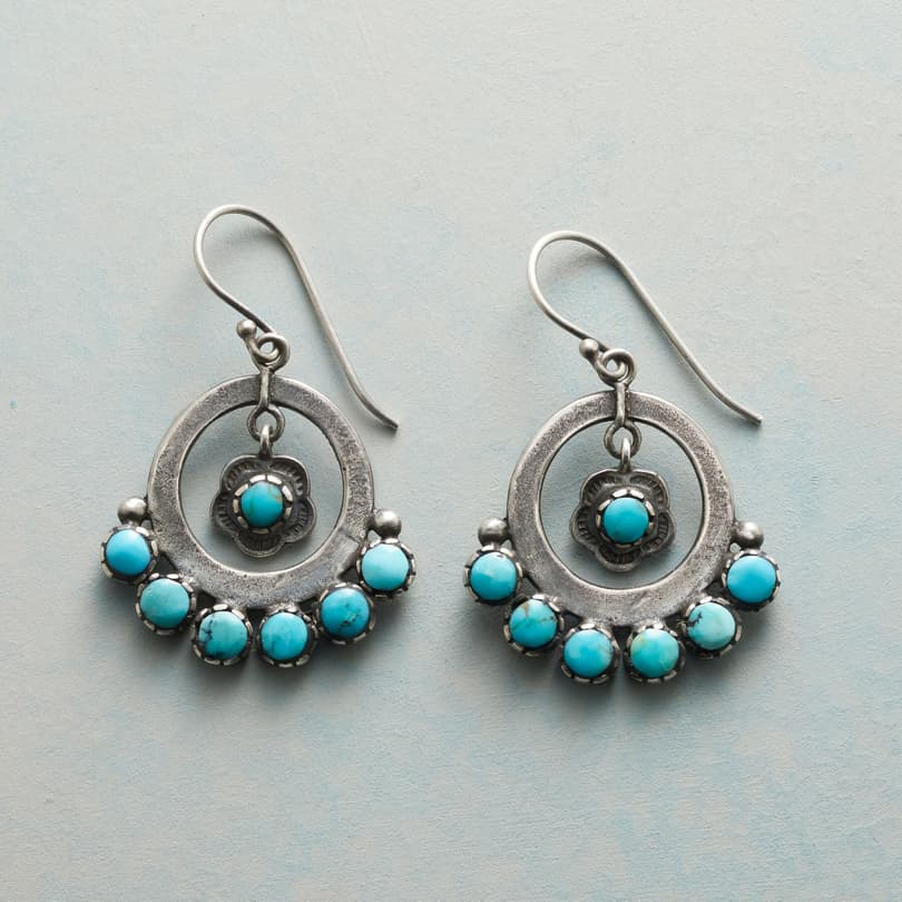 SPLENDOR IN THE SOUTHWEST EARRINGS view 1