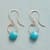 TURQUOISE SONG EARRINGS view 1