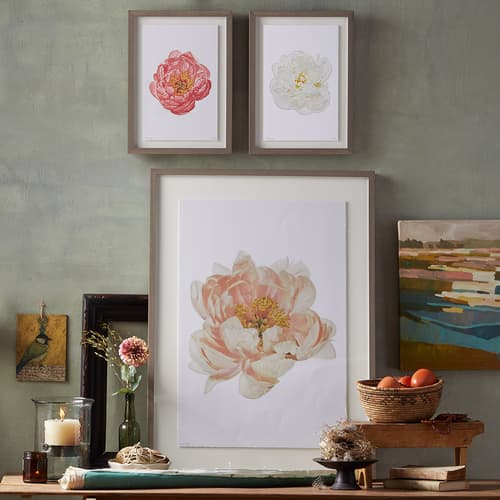 Peony Studies Prints View 1