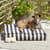 NAVY STRIPES DOG DAYS WOUF, MEDIUM view 1