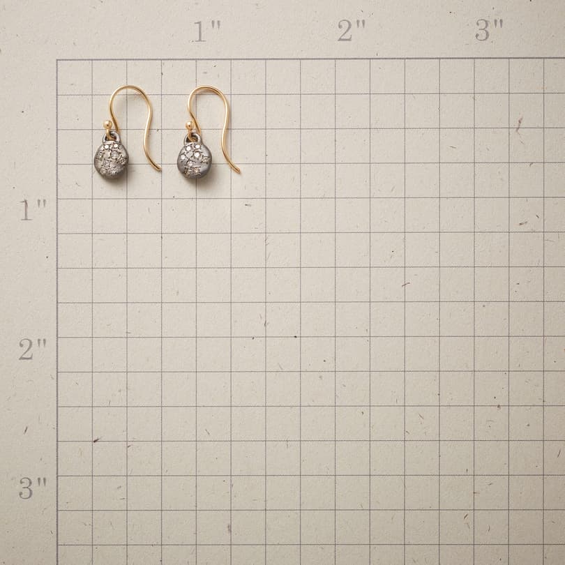 SNIPPET OF STARLIGHT EARRINGS view 1