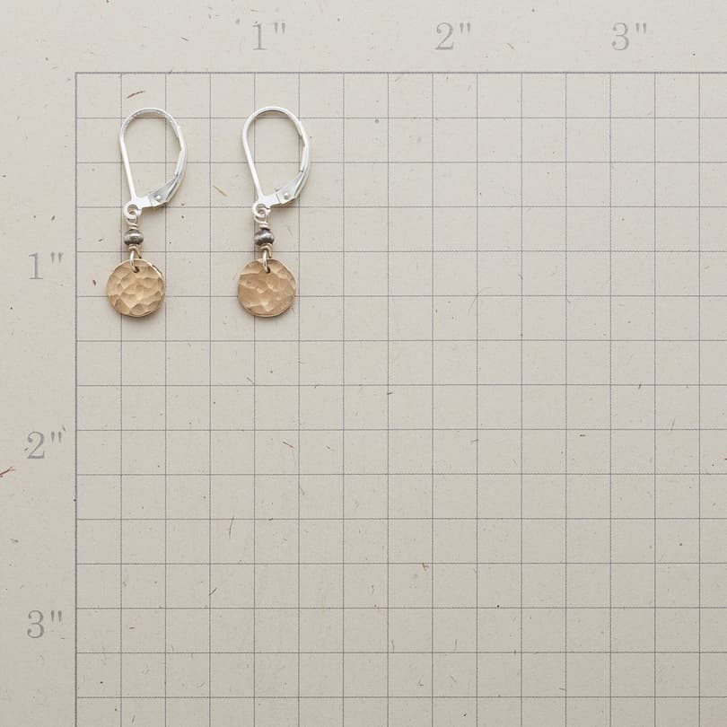 DAPPLE DROP EARRINGS view 1