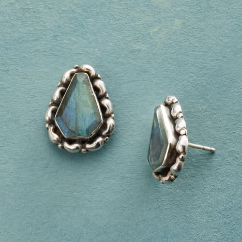 Ensconced Labradorite Earrings View 1