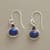 LAPIS &amp; GARNET EARRINGS view 1
