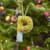SPELL IT OUT GIFT TAG ORNAMENTS view 1