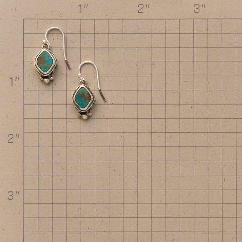 Blue Mountain Earrings View 2