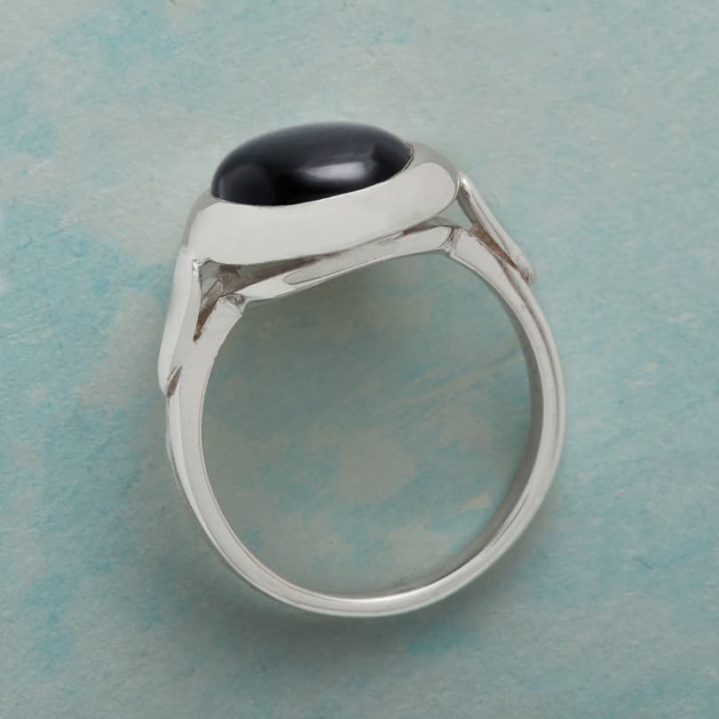 DARK SIDE OF THE MOON RING view 1