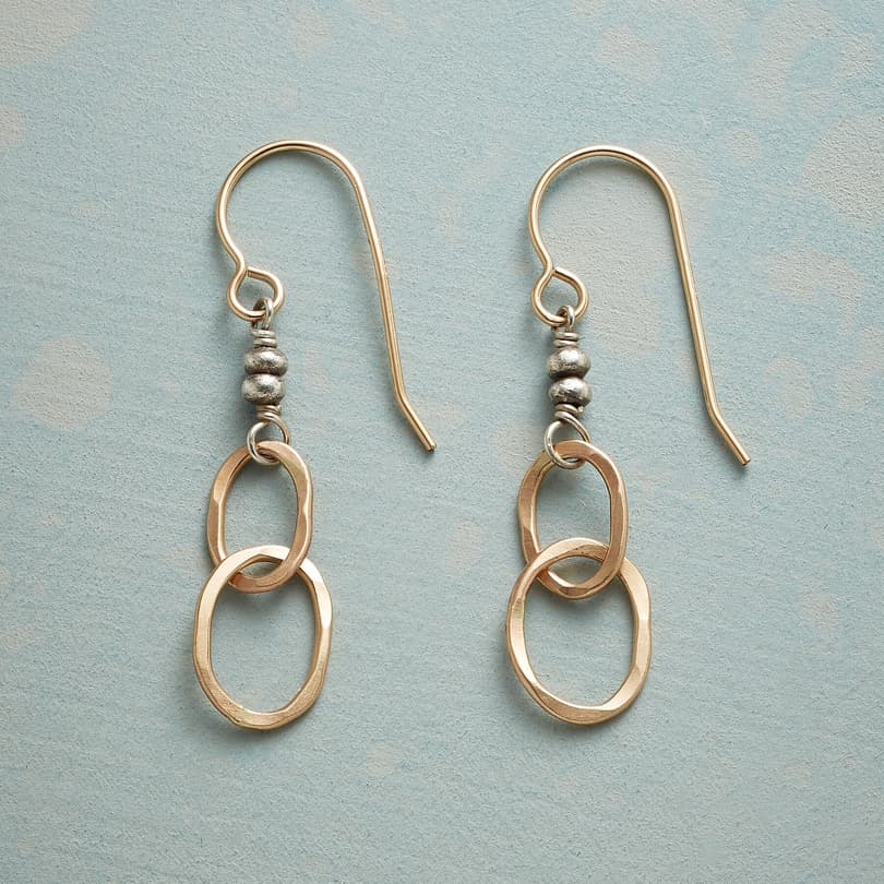 PAIR SHARE EARRINGS view 1