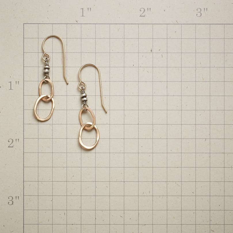 PAIR SHARE EARRINGS view 1