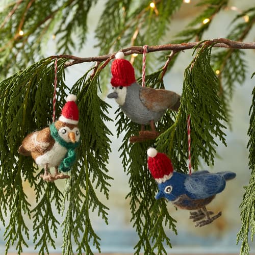 Birds Of Winter Ornament Set
