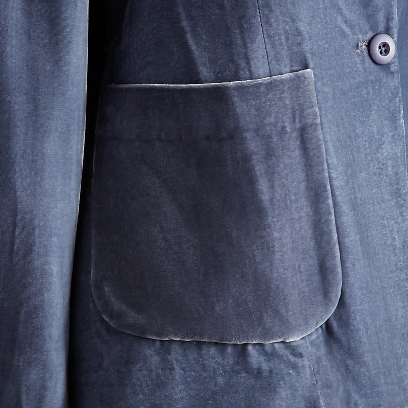 Beau Velvet Blazer - Petites View 9