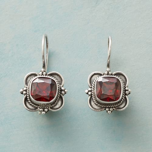 GARNET CARTOUCHE EARRINGS view 1