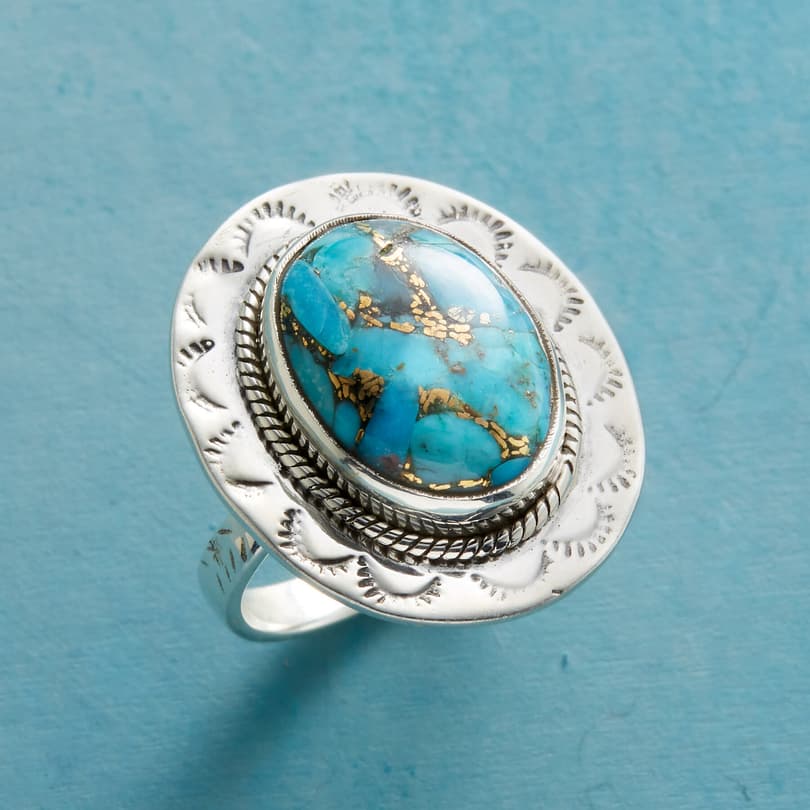 NEW TERRAIN TURQUOISE RING view 1
