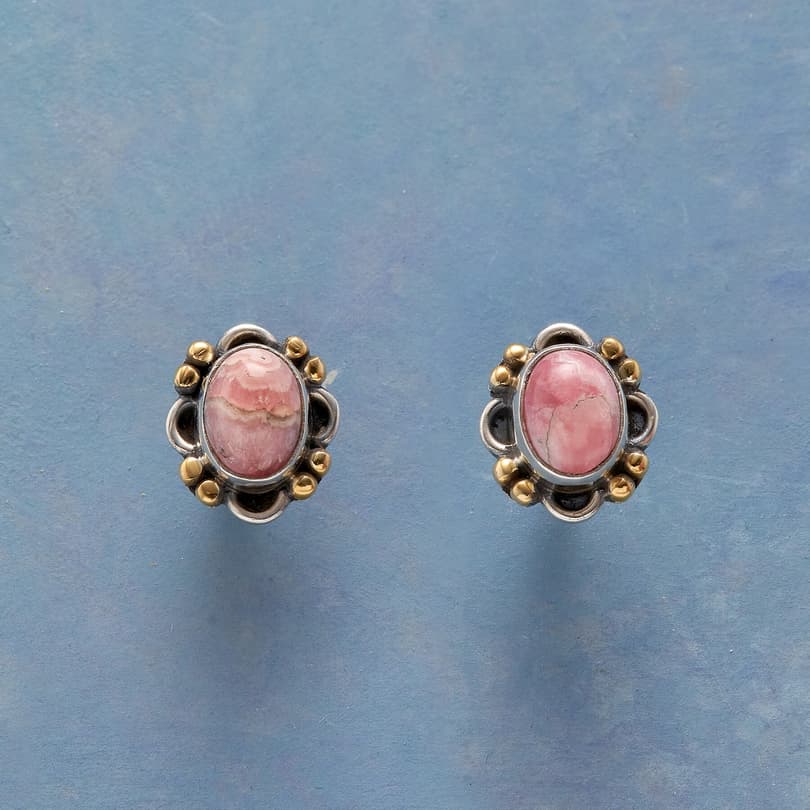 STRAWBERRY SWIRL EARRINGS view 1