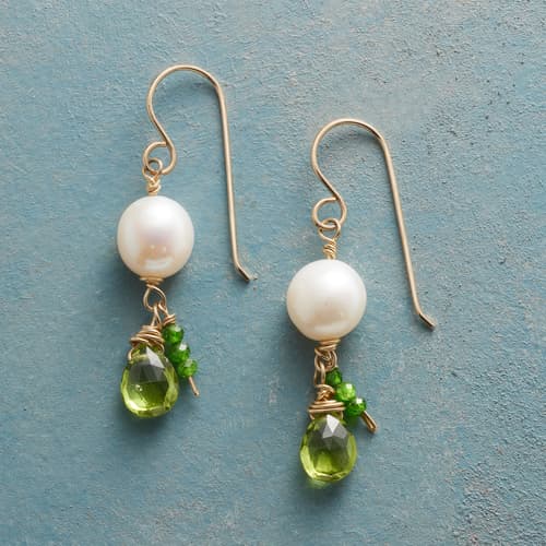 Verdure Earrings View 1