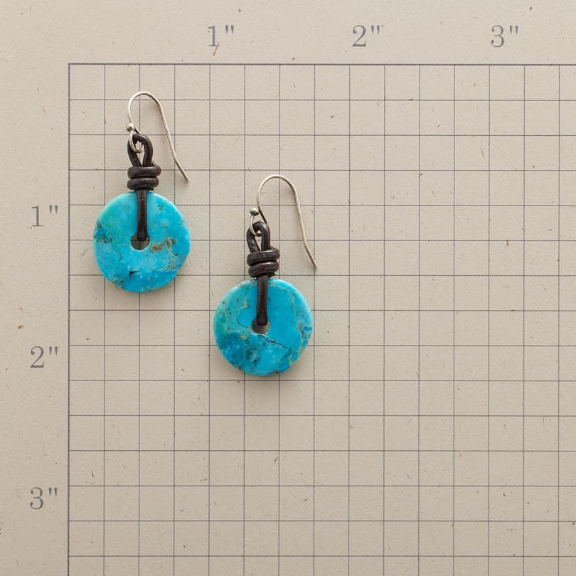 TURQUOISE DISK EARRINGS view 1