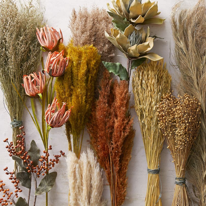 Rowan Pampas Grass View 2
