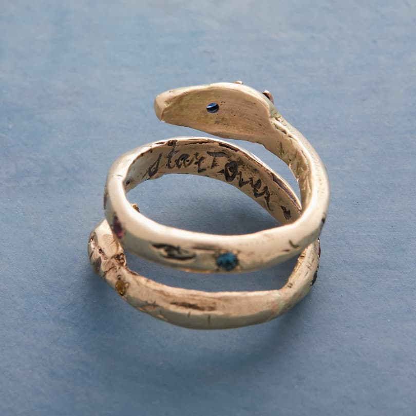 Snake Of Compassion Ring View 2