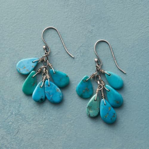 Cloudburst Earrings View 1