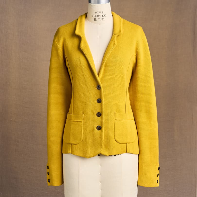 Gold Rush Sweater Blazer, Petite View 2