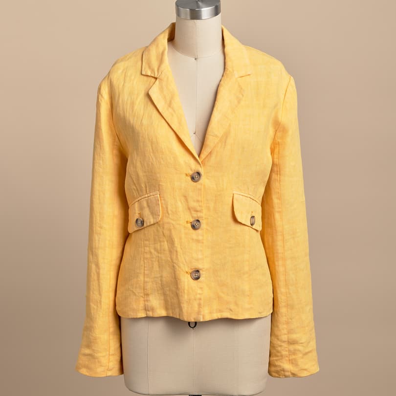 Pippa Blazer View 4