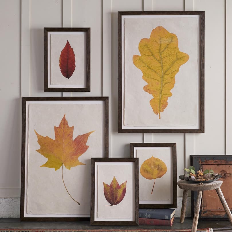 Leaf Studies Print View 1