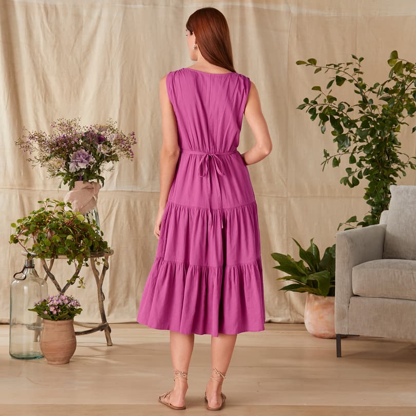 Jerrika Dress - Petites View 2