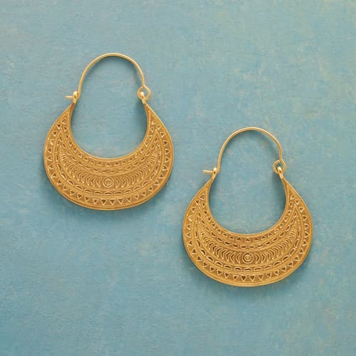 RICHES UNTOLD HOOP EARRINGS view 1