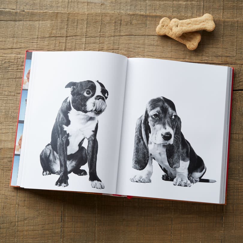 DOGS BOOK view 2