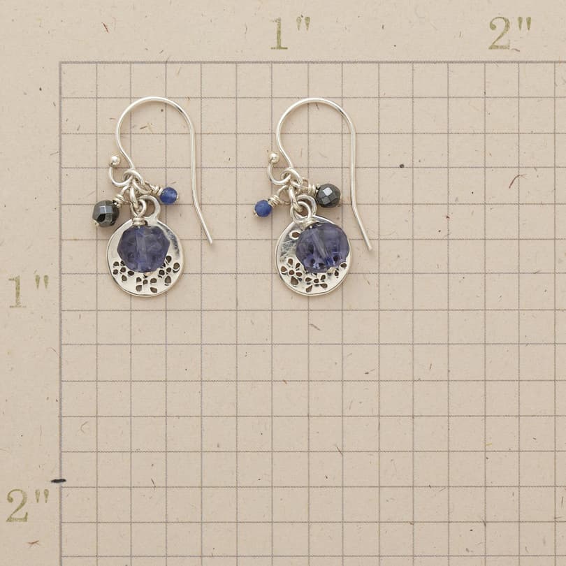PERFORATED DISK EARRINGS view 1