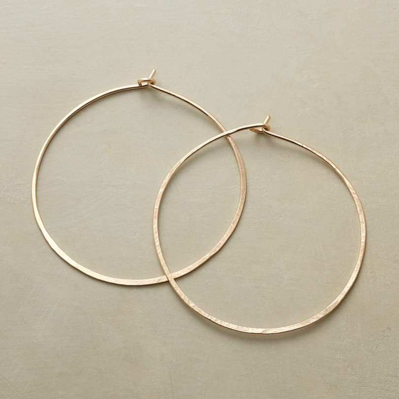SHIMMERING HOOPS view 1