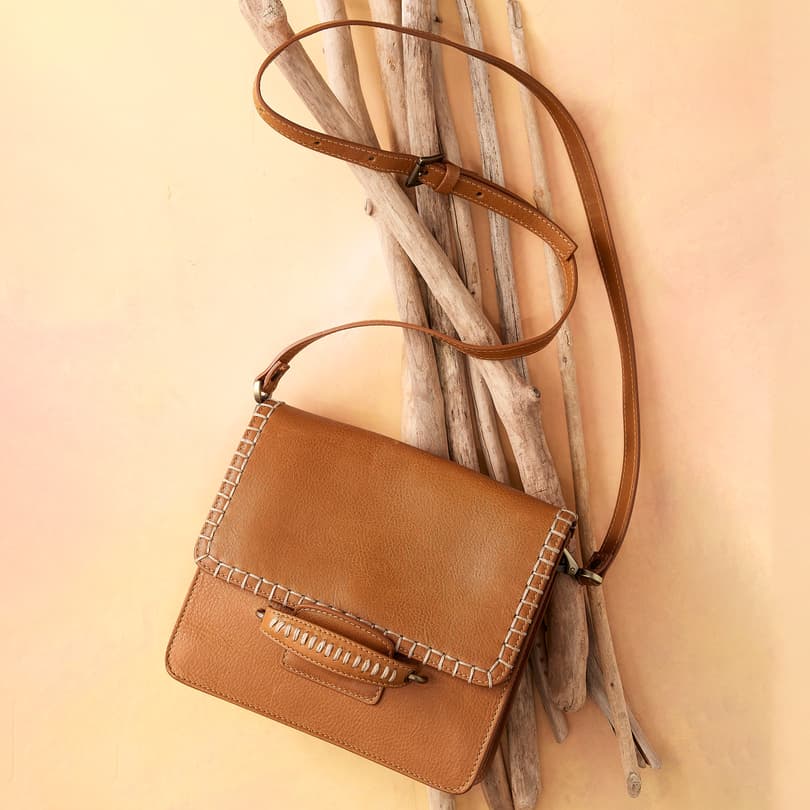 Gael Crossbody Bag View 7C_COGN