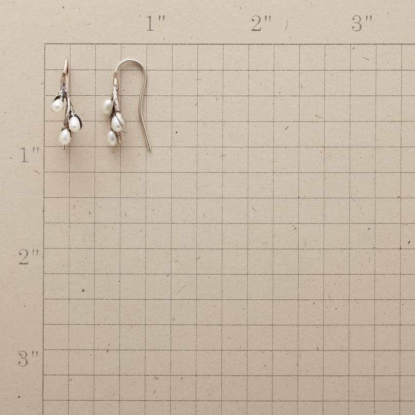 PUSSYWILLOW EARRINGS view 1